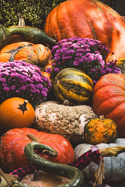 pumpkin, harvest, fall, october, thanksgiving, nature, pumpkin, harvest, harvest, harvest, harvest, harvest, fall, fall, fall, fall, fall, october, thanksgiving